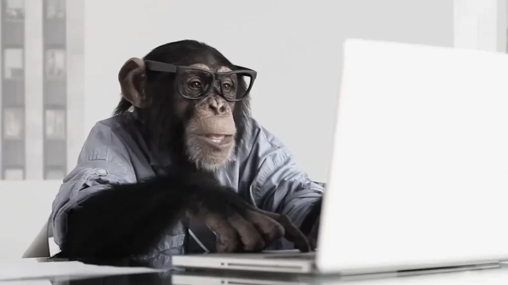 Un mono programando con un ordenador